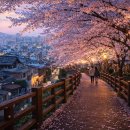 까꼬막카페 | 부산 벚꽃로드 4편｜개금벚꽃길 가는 법, 주차장, 지하철, 산책 포인트까지