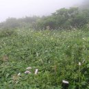 은석목장 이미지