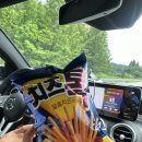 헬스온더비치 | 양양] 핫하디 핫한 양양 커플여행❤ / 템플온더비치 / 양양 풀파티 / 와이비자 / 서피비치 / 양양 가오리찜