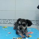 동지메디칼 이미지