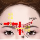 엄지연합의원 이미지