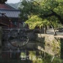 향미장원 | 박동춘의 고려 茶문화, 그 아름다움 15. 원감국사의 차생활