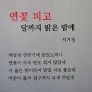 국내 최대 연꽃단지 - 반야월 연꽃단지 이미지