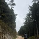 발구덕끝 이미지