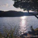 한산도 제승당 | 통영유람선 한산도 제승당 가을 통영 섬 여행 추천 후기