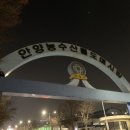 영광미가횟집