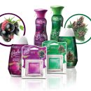 에스씨코리아 이미지