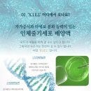 지엘화장품 이미지