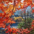 희망로406번길 이미지