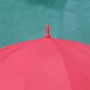 필리스 핏 이미지