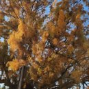 경진여관 이미지