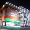 필립스(백합) 이미지