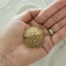 주식회사 하임자연건강 이미지