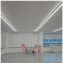 초등성장발레 이미지