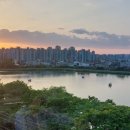 장수오리 이미지