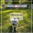 멍다방 이미지