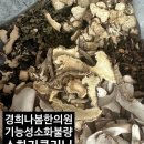 경희나봄한의원 이미지