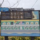 바다마을 | 포항 창바우마을 캠핑장 솔직 후기 | 바다뷰와 낚시까지 완벽했던 힐링 캠핑장