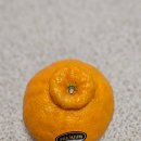 상보농장 이미지