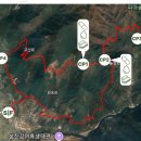 토지초교 | 2026 지리산봄꽃레이스 대회 신청 코스정보 (+대회 주의사항)