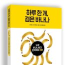 바나나 의 놀라운 효능 이미지