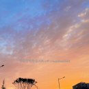 지루골 정육식당 이미지