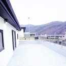 주노빌 이미지