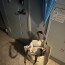 진주세탁소 이미지