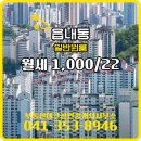 부동산테크공인중개사사무소 | 읍내동 월세 1,000/22 - 부동산테크공인중개사사무소