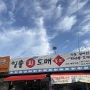 일출회도매