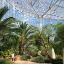 연기면 금강보행교북측(좌) | [세종] 세종데이트코스 국립세종수목원과 금강보행교 근처 맛집 피제리아지알로 추천