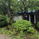 명월2리 이미지