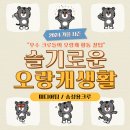 크루미디어