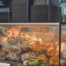 대가온족발 이미지