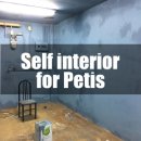 페티즈(petis) 이미지