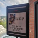 극장판 명탐정 코난 흑철의 어영 CGV 천안시청 7관 후기