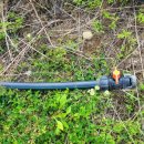 초전면사무소 이미지