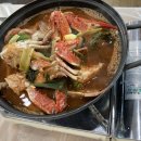 털보애견 이미지