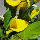 [1급과정] 아동심리상담사 1급 이미지