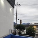 여수 도그펄슨 애견수영장펜션 이미지