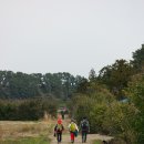 간세다리 이미지