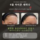 세미나샵 이미지