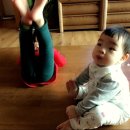 정안사랑약국 이미지