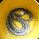 사항제2낚시터 이미지