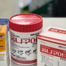 주안정약국 이미지