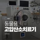 와우동물메디컬센터 이미지