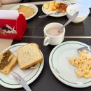 라파엘농장 | [브라질] 다 드루와 이…