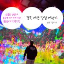 용주축산 | 경북 예천 맛집으로 유명한 용궁 순대국밥 박달식당과 용궁역 미디어아트관 방문 후기