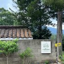 시고르스테이 이미지