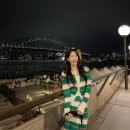 참좋은마트 | 시드니 동물원, 오페라하우스 야경, 시드니 야경투어, 블루마운틴 날씨 | 참좋은여행 패키지 후기 - 5